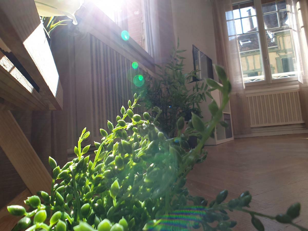 Au 36, Les Apparts Hotel Joigny Eksteriør bilde